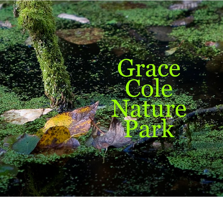 View Grace Cole Nature Park by sancho