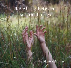 The String Between Natural Things book cover