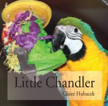 Little Chandler book cover