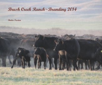 Brush Creek Ranch~Branding 2014 book cover