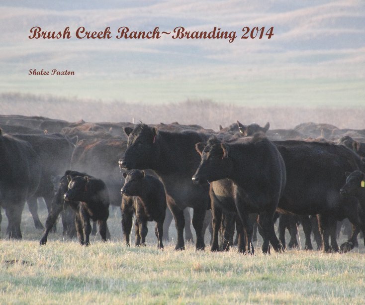 Visualizza Brush Creek Ranch~Branding 2014 di Shalee Paxton