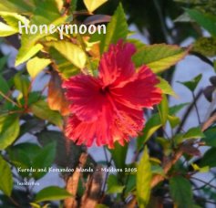 Honeymoon book cover