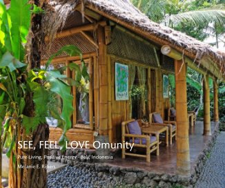 SEE, FEEL, LOVE Omunity book cover