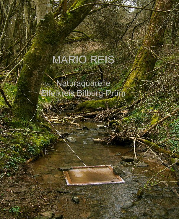Bekijk MARIO REIS Naturaquarelle Eifelkreis Bitburg-Prüm op Mario Reis