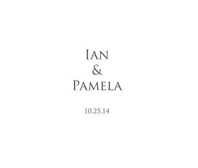 Ian and Pamela's Wedding book cover