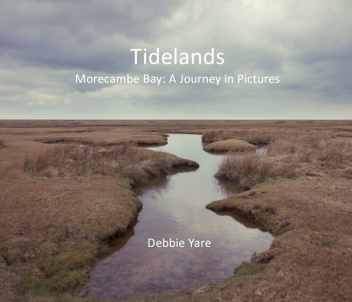 View Tidelands by Debbie Yare
