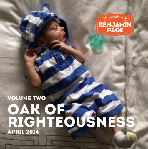 Visualizza The Adventures of Benjamin Page: Oak of Righteousness di Armistead Booker