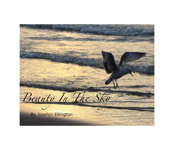 Visualizza Beauty In The Sky di Joselyn Ellington