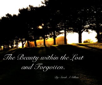 The Beauty within the Lost and Forgotten. book cover