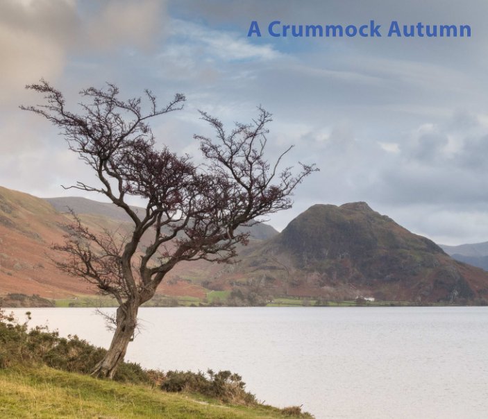View A Crummock Autumn by Bryan Sheard