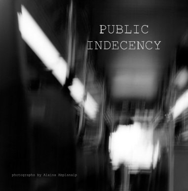 Public Indecency book cover