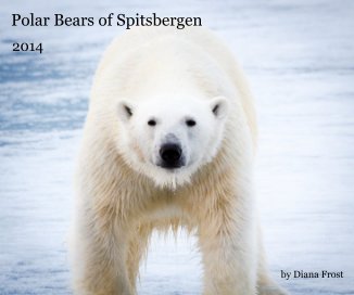 Polar Bears of Spitsbergen book cover
