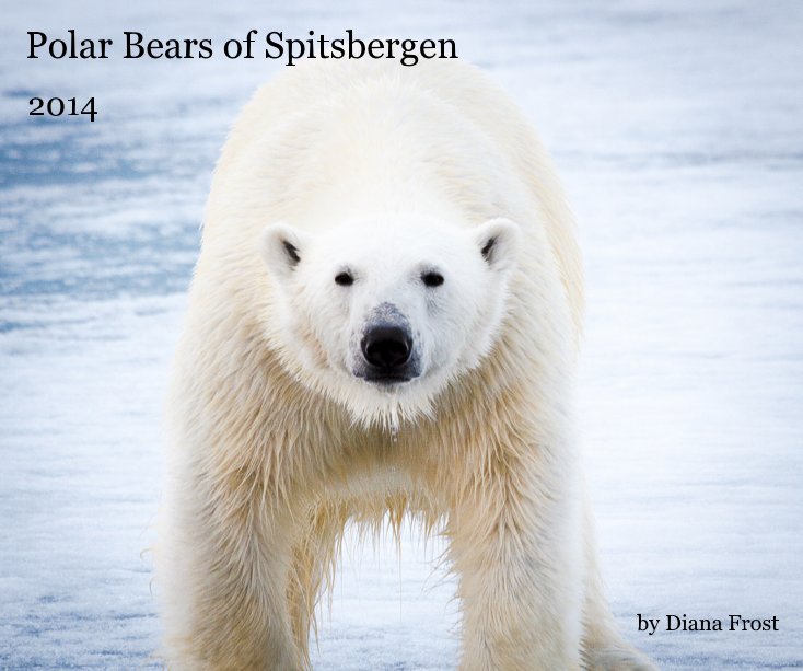 View Polar Bears of Spitsbergen by Diana Frost