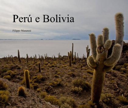 Perú e Bolivia book cover