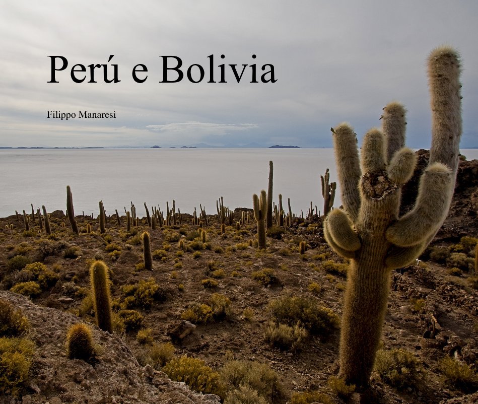 View Perú e Bolivia by Filippo Manaresi
