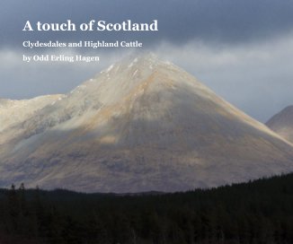 A touch of Scotland book cover