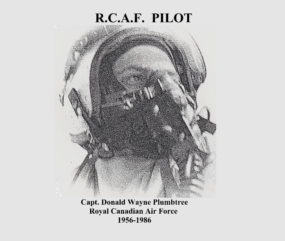 View RCAF Pilot by Michael D. Plumbtree