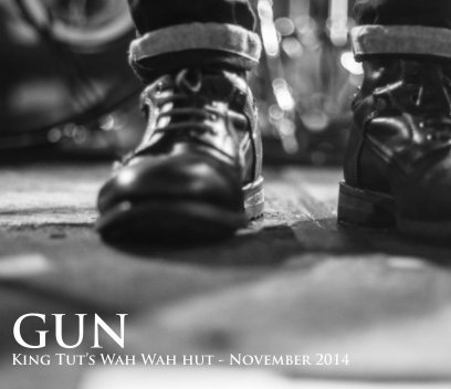 GUN book cover