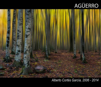 Agüerro book cover