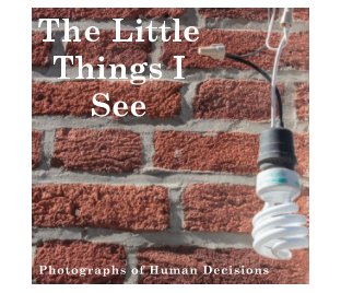 The Little Things I See book cover