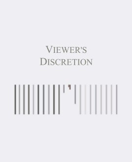 VIEWER'S DISCRETION book cover