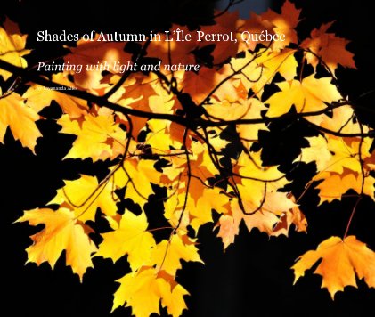 Shades of Autumn in L’Île-Perrot, Québec Painting with light and nature book cover