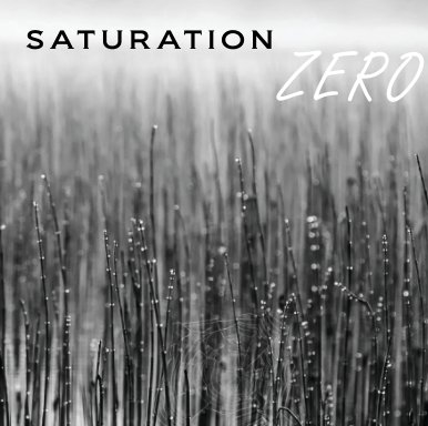 Saturation Zero book cover