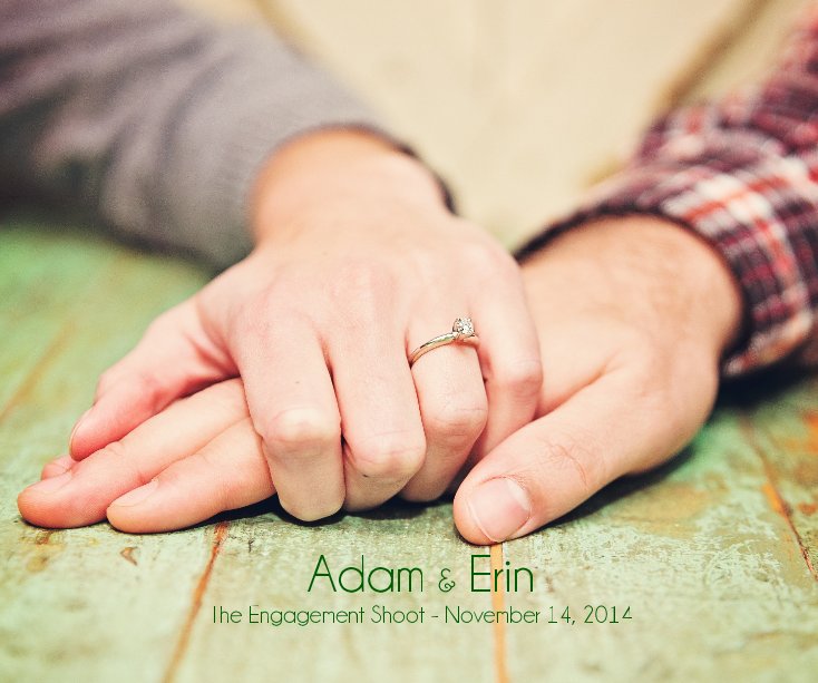 Visualizza Adam & Erin The Engagement Shoot - November 14, 2014 di Steve Nelson