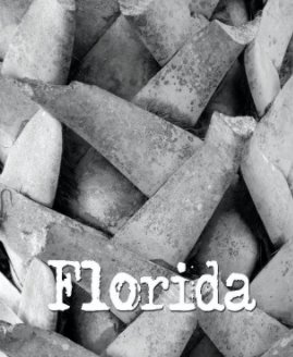 Florida '08 book cover