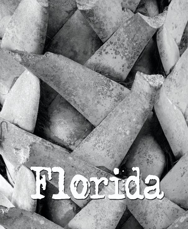 Ver Florida '08 por Adam Franc