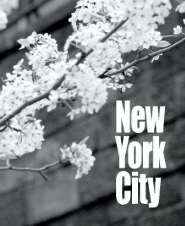 NYC '09 book cover