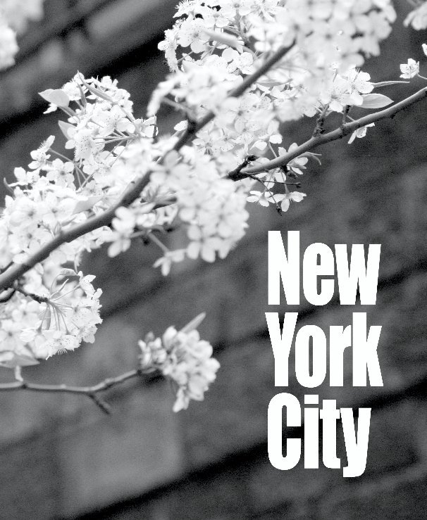 Ver NYC '09 por Adam Franc
