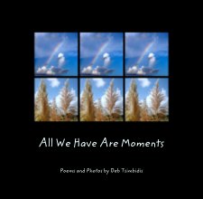 All We Have Are Moments book cover