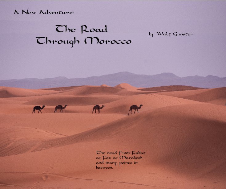 View The Road Through Morocco by Walt Gunster