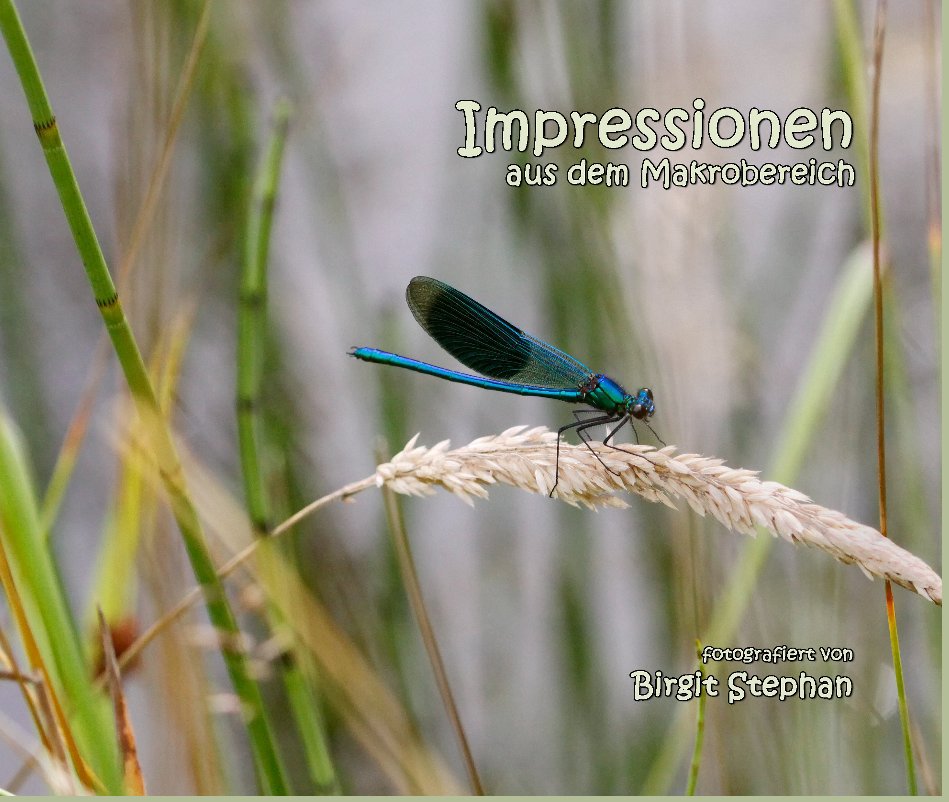 View Impressionen aus dem Makrobereich by Von Birgit Stephan