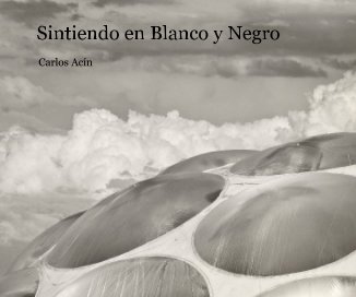 Sintiendo en Blanco y Negro book cover