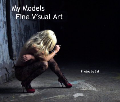 My Models Fine Visual Art book cover