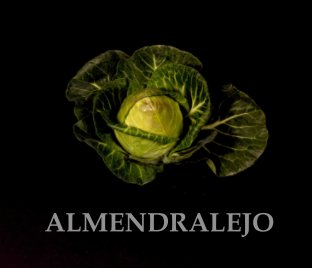 Almendralejo book cover