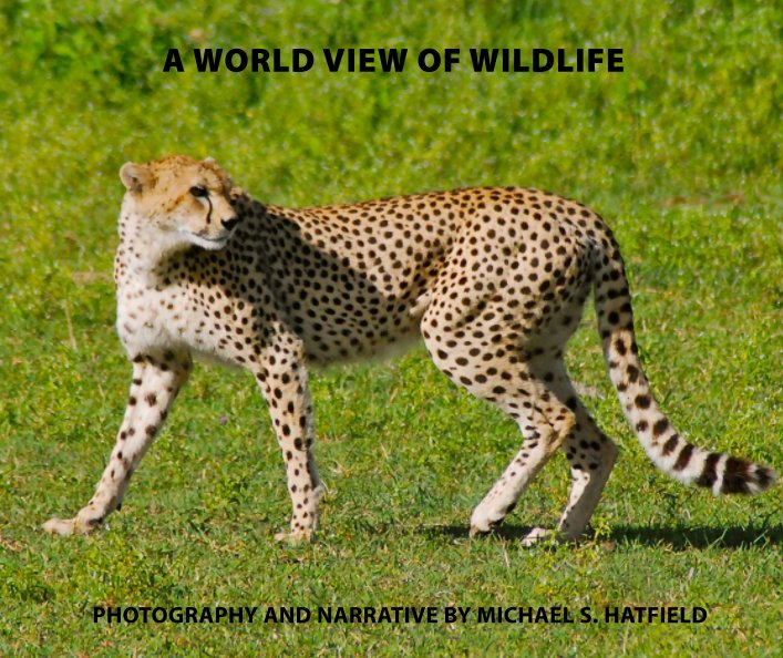 Ver A World View of Wildlife por Michael S. Hatfield