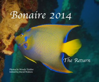 Bonaire 2014 The Return book cover