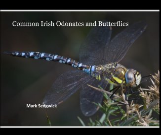 Common Irish Odonates and Butterflies book cover