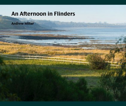 An Afternoon in Flinders Andrew Millar book cover