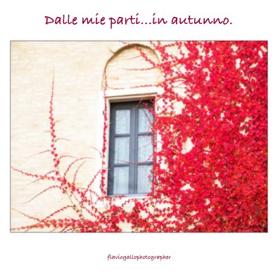 Dalle mie parti...in autunno. book cover