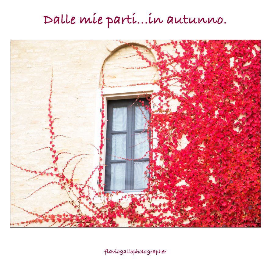 Bekijk Dalle mie parti...in autunno. op flaviogallophotographer