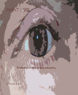 What I See book cover