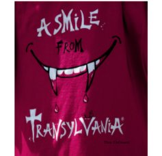 A smile for Transylvania book cover