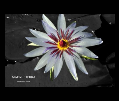 Madre Tierra book cover