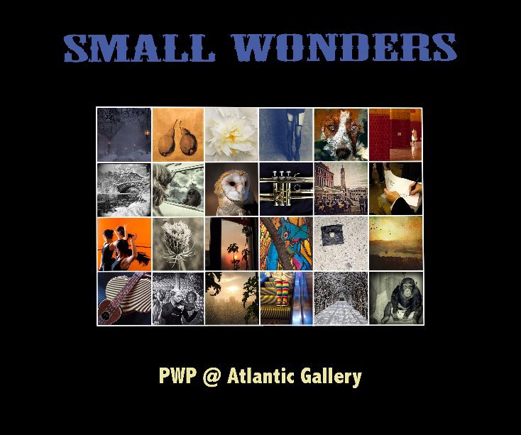 View Small Wonders by Professional Women Photographers