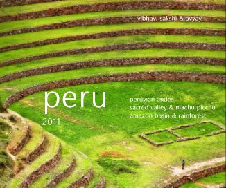 peru 2011 book cover