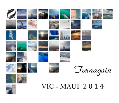 Vic Maui 2014 book cover